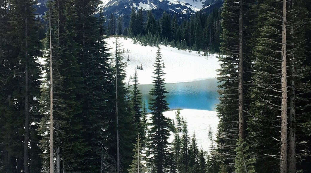 Mountains are Calling #mountrainier #hiking #nature #roadtrip #colorful #bestof5