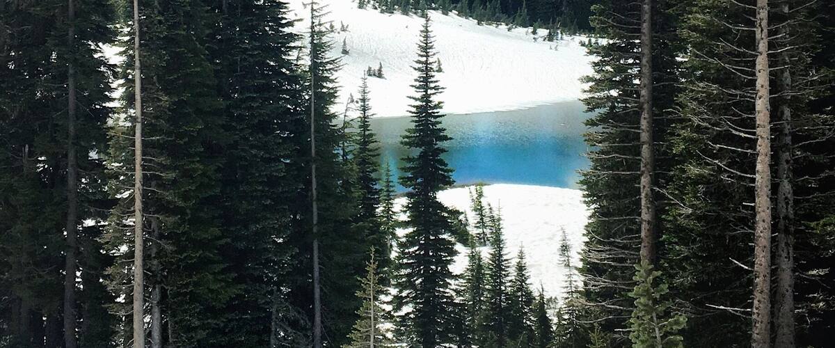 Mountains are Calling #mountrainier #hiking #nature #roadtrip #colorful #bestof5
