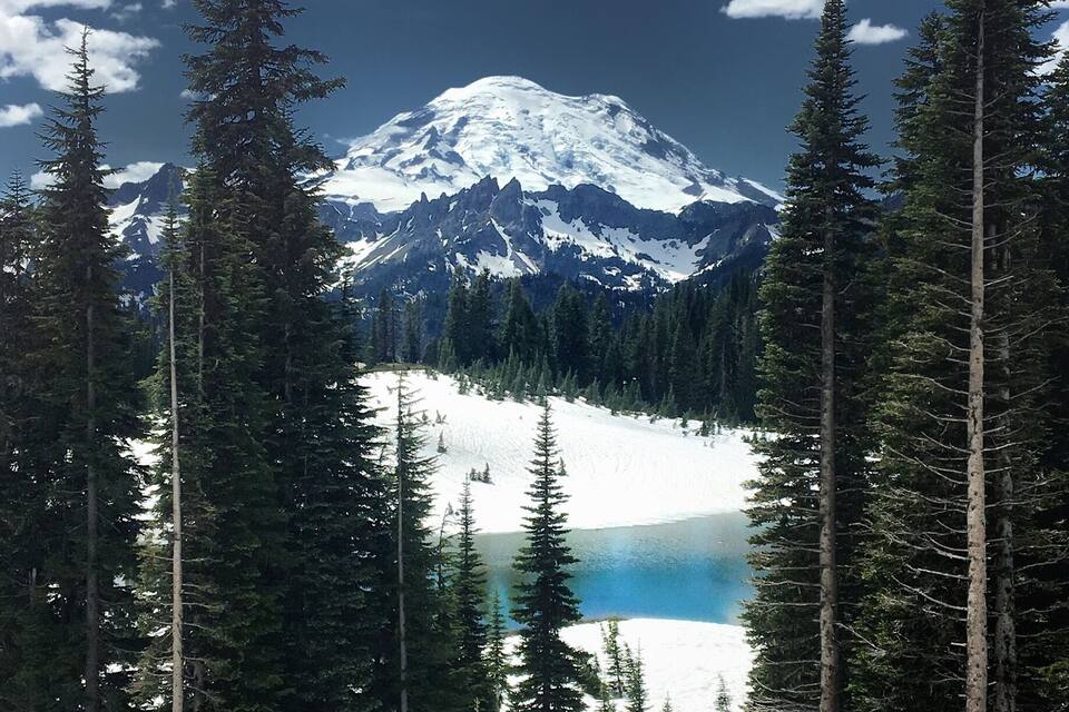 A snow-covered mountain with a lake and tall evergreen trees in the foreground.