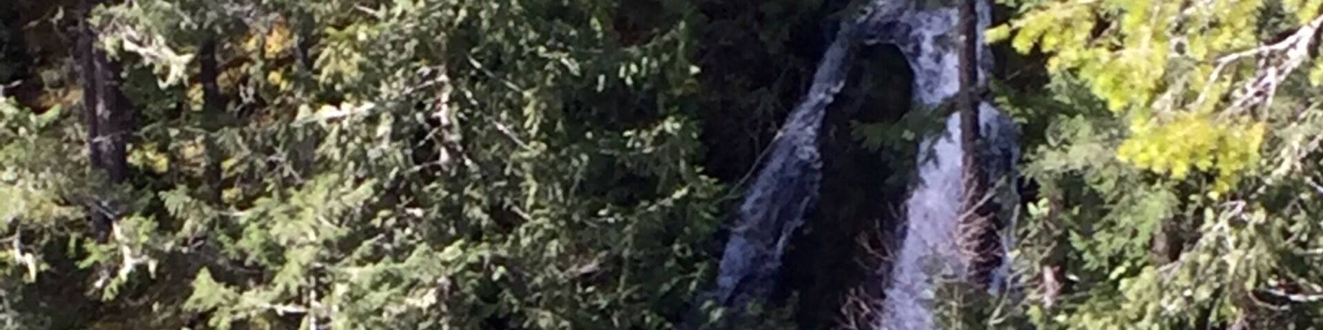 A waterfall surrounded by dense forest.