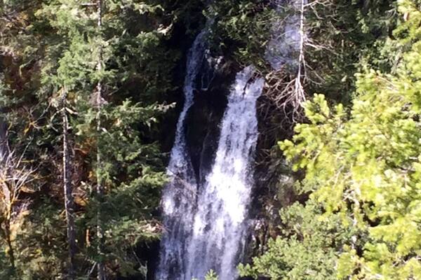 It’s about 1.5 miles for both the loop hike and a short spur trail to an overlook of a waterfall tumbling into the Big Quilcene River.