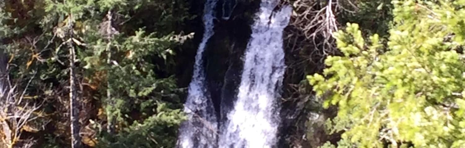 It’s about 1.5 miles for both the loop hike and a short spur trail to an overlook of a waterfall tumbling into the Big Quilcene River.