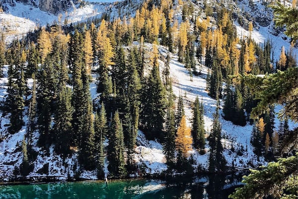 Un paysage de montagne avec des sommets enneigés, un lac d’un bleu limpide et une forêt de conifères dense.