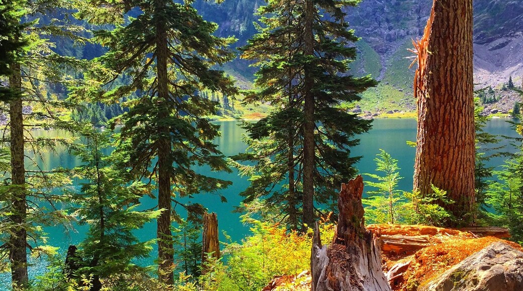 Lake 22 is one of my favorite hikes! The lake at the top of this relatively short hike is so incredibly beautiful. The hike itself take around 3 hours round trip and is probably a little more than 5 miles. Remember to wear thick-soled shoes though- there's a extended rocky section right in the middle of the trail!