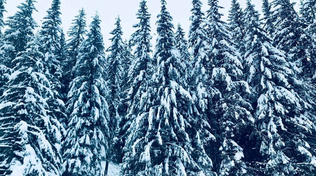 Snow ❄️
#LifeAtExpedia #Snow #Outdoor