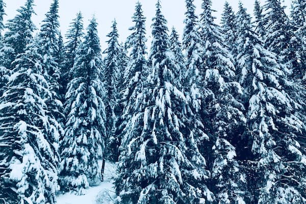 Snow ❄️
#LifeAtExpedia #Snow #Outdoor