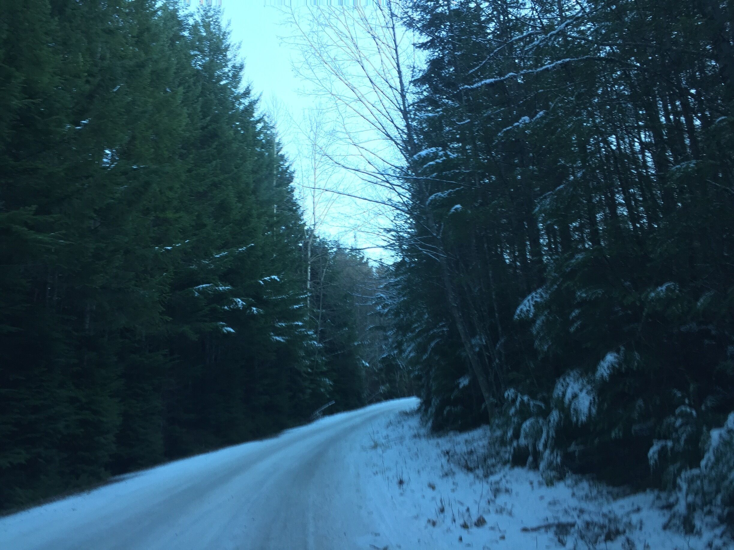 Always drive safe on forest winter roads