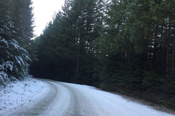Tricky drive on frosted forest roads....is it a tongue twister