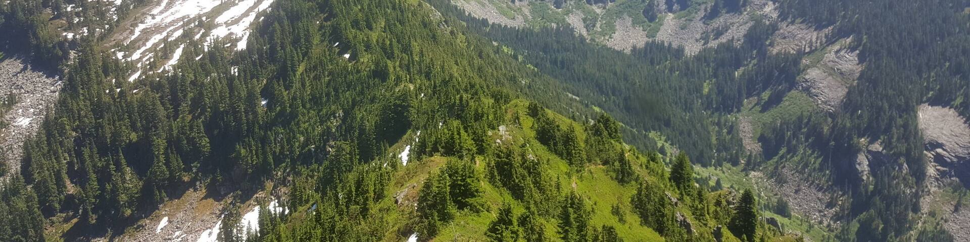 A mountainous landscape with dense forests and snow-capped peaks.