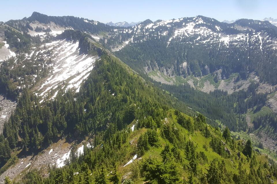 Paisagem montanhosa com florestas densas e picos nevados.