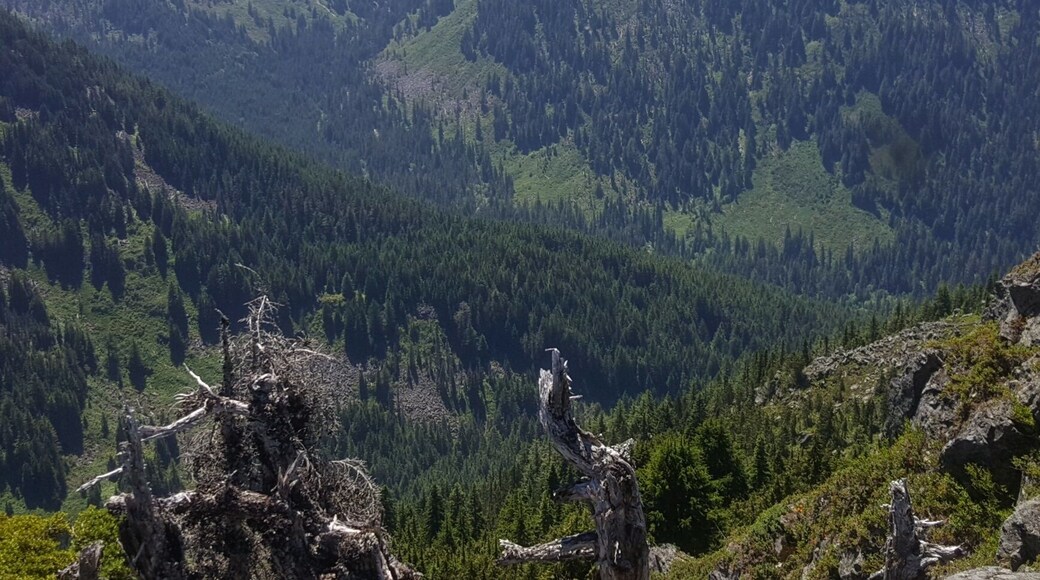 Switchback City. Way better than Mailbox and you can end with a nice soak.