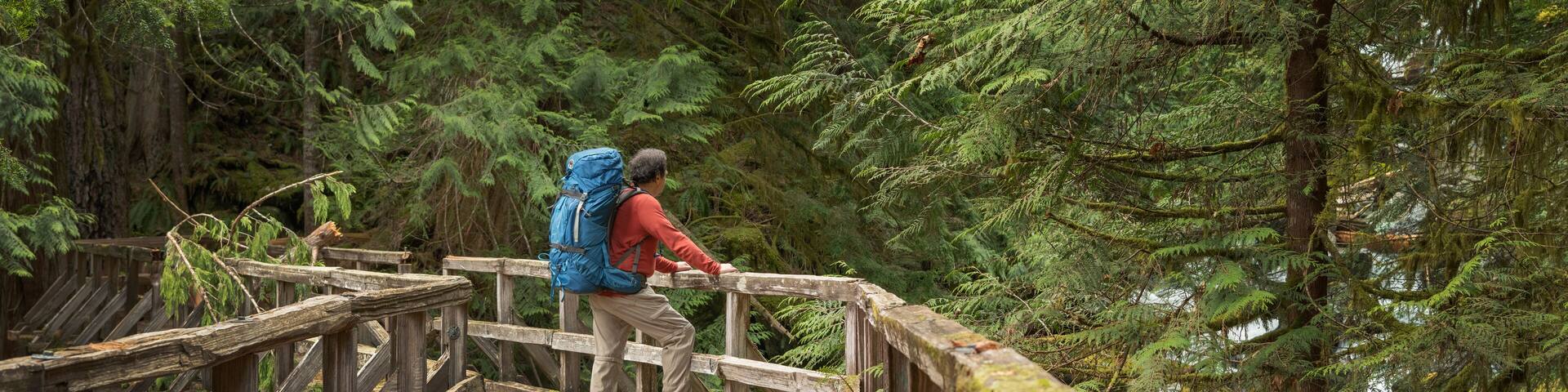 Un puente de madera en un bosque frondoso con una persona que lleva una chaqueta roja y una mochila azul.