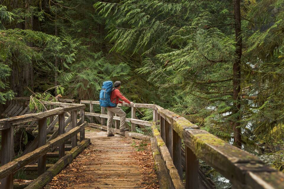 A wooden bridge in a dense forest with a person wearing a red jacket and a blue backpack.