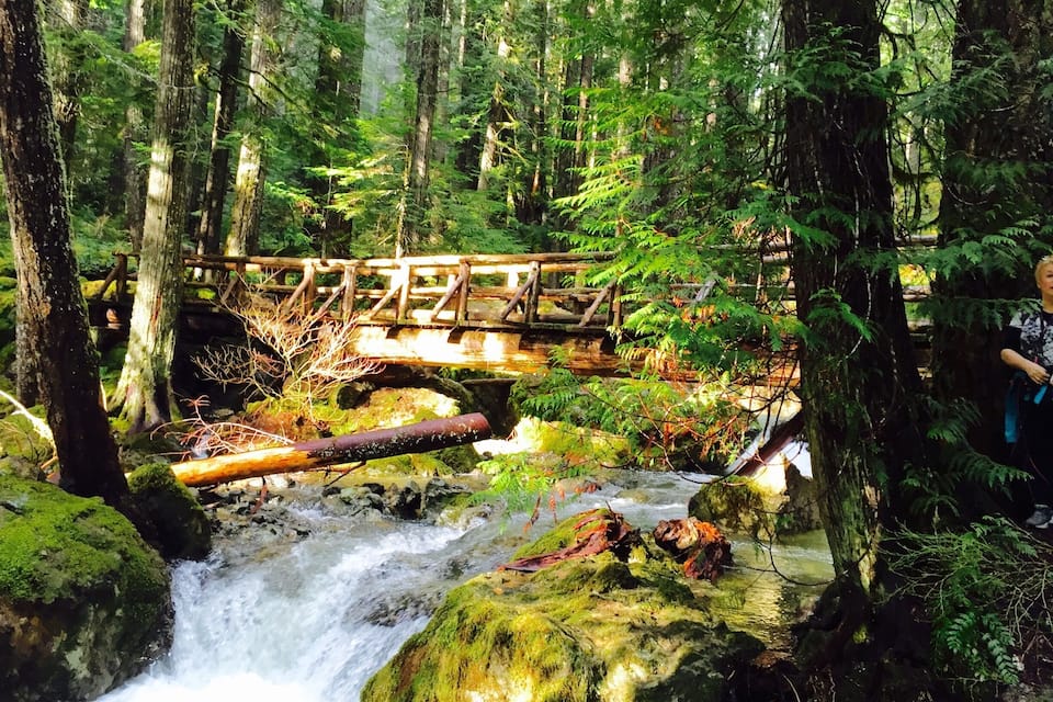 A wooden bridge over a flowing stream in a forested area.