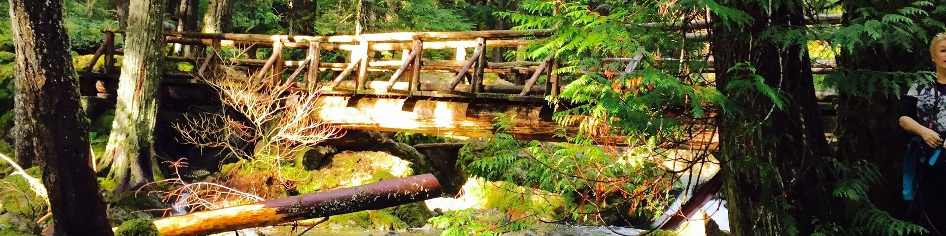 It was stunning; I think the trail itself is more breathtaking than the final view of the lake.