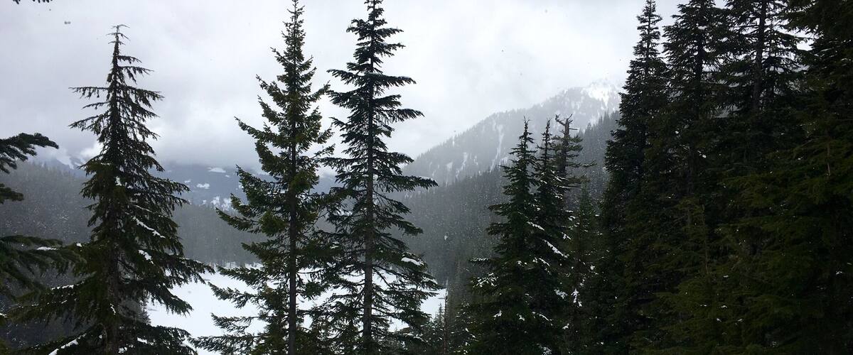 Spring is here? Yes and no, Lake Ollalie is beautiful to visit, but with no snow, it would be another sight! Granite Mountain was snowed in so, this hidden gem was a detour.