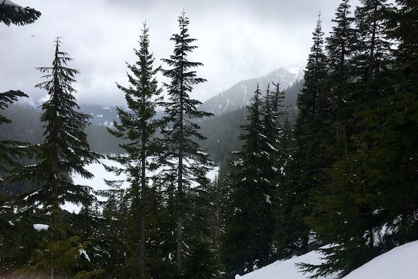 Spring is here? Yes and no, Lake Ollalie is beautiful to visit, but with no snow, it would be another sight! Granite Mountain was snowed in so, this hidden gem was a detour.
