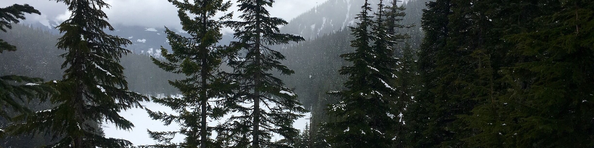Spring is here? Yes and no, Lake Ollalie is beautiful to visit, but with no snow, it would be another sight! Granite Mountain was snowed in so, this hidden gem was a detour.