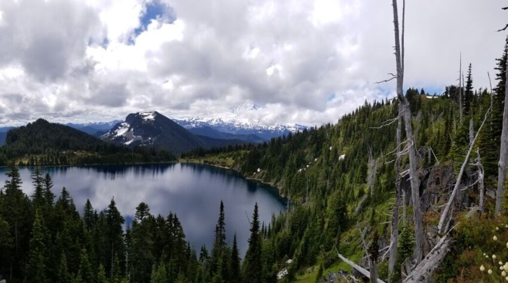 Mt. Rainier in the background... My favorite thinking spot.
#lifeatexpedia
#nature
#Trovember