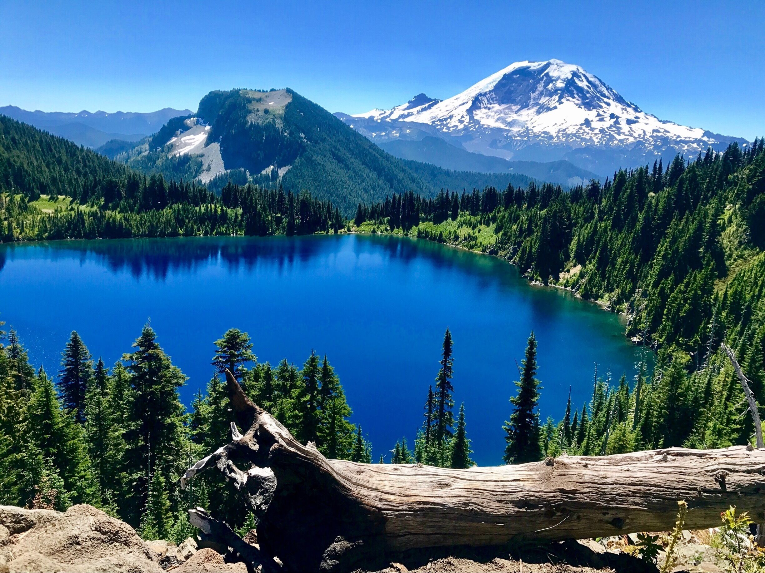 Mt. Rainier beauty! #lifeatexpedia