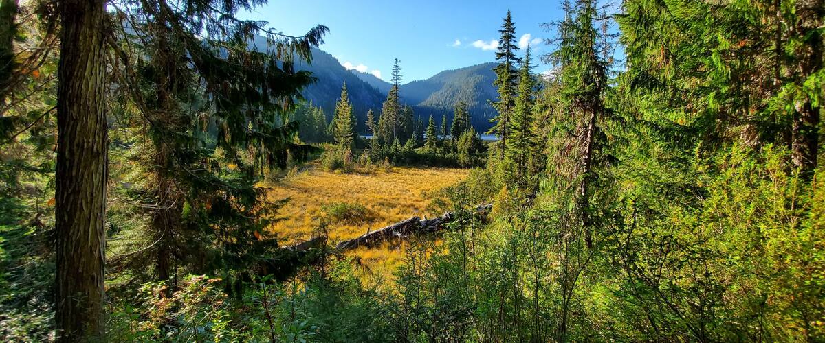 #lifeatexpedia #lifeatexpediagroup #yellow