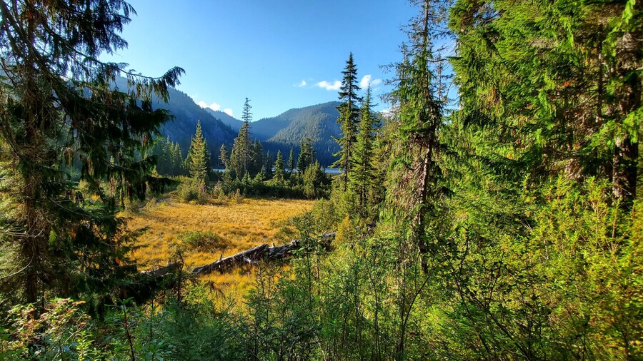 Dorothy Lake Trailhead