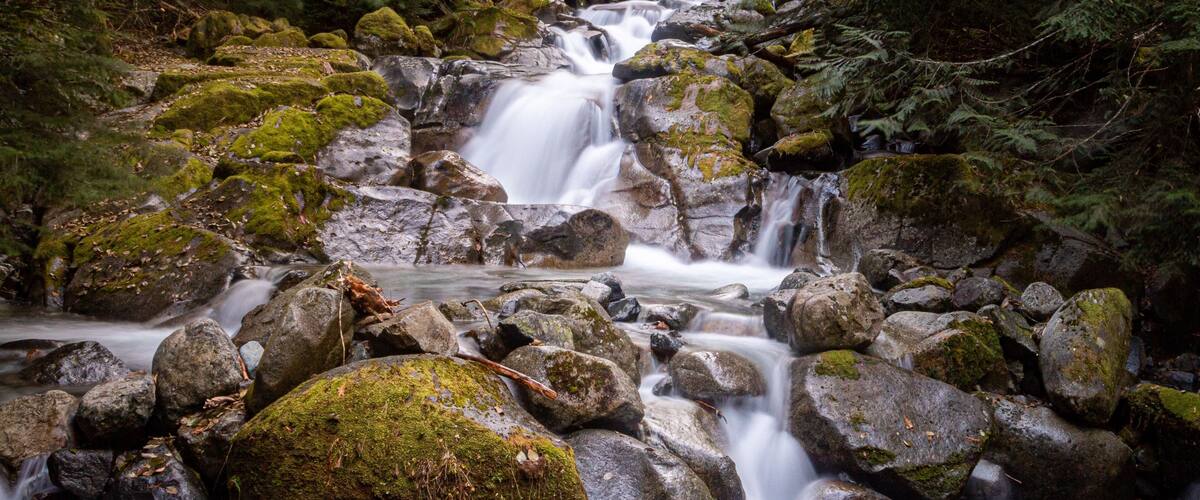 Streams are full with the arrival of the autumnal rains in the Cascade Mountains. Many opportunities to watch falling water on the hike up to Annette Lake.