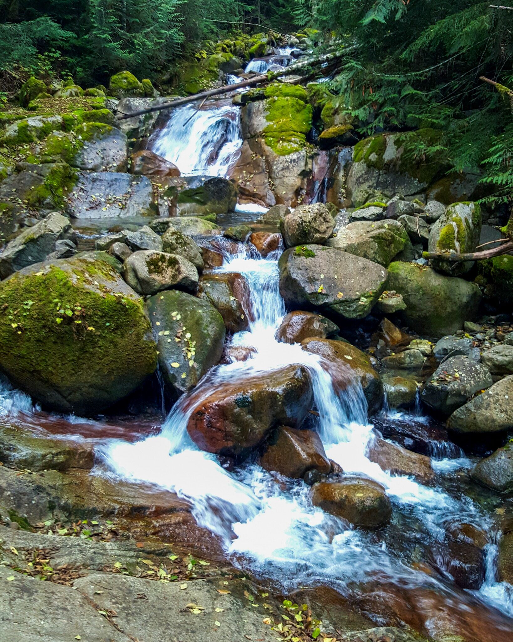 Beautiful Humpback creek .2 miles into Annette lake trail 😍
#waterlust
#hiking
#colorful
#pnw