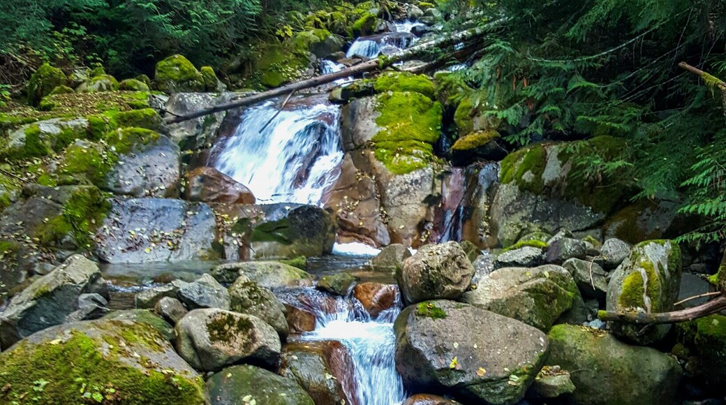 Beautiful Humpback creek .2 miles into Annette lake trail 😍
#waterlust
#hiking
#colorful
#pnw