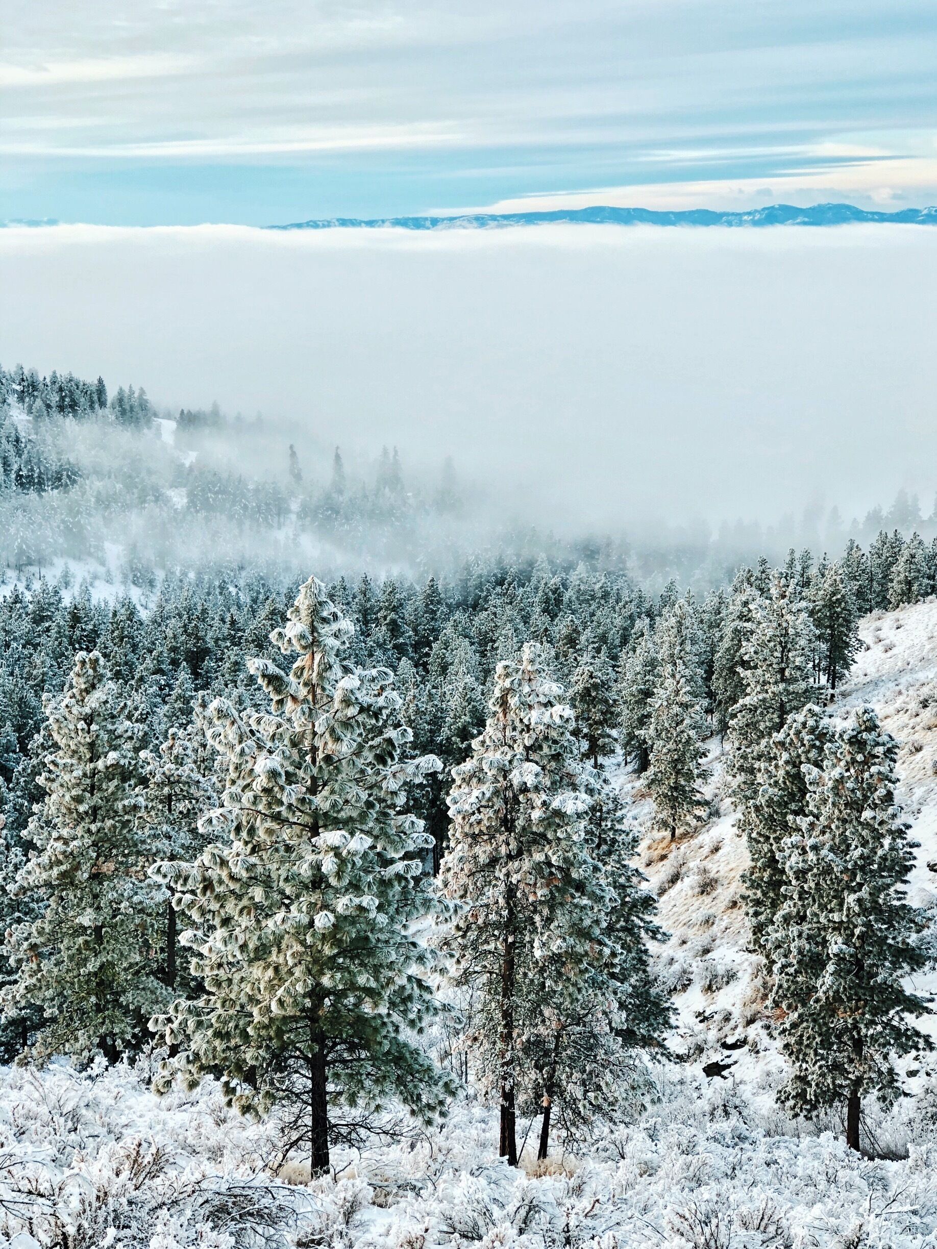There are many different trails located about 20 minutes away from Chelan. In the winter only a few specific trails are open but if you have a winter friendly vehicle, you can just drive up to the ridge for the stunning views. 