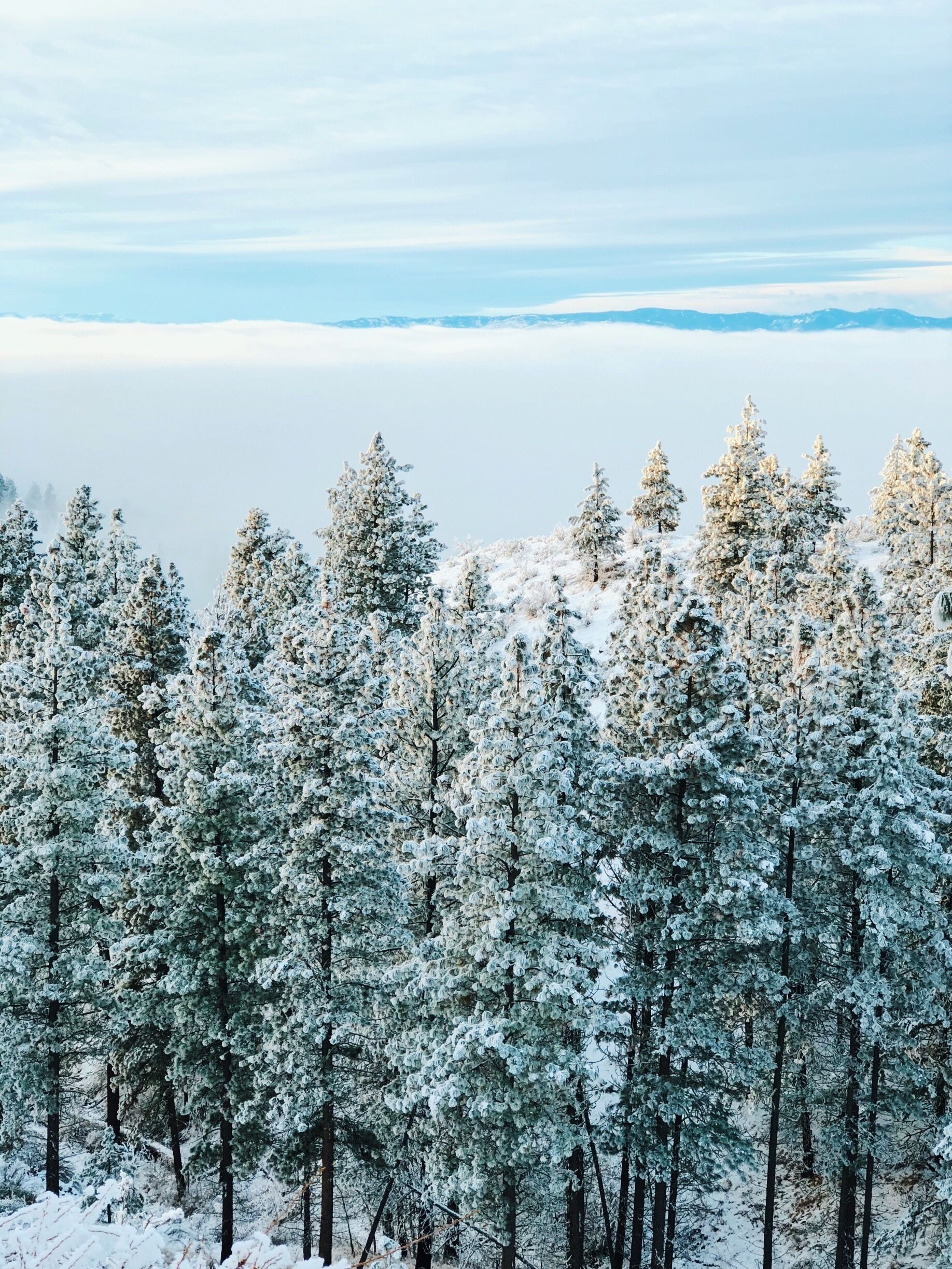 Drove up to the Echo Ridge for sunrise and the views were absolutely stunning! It’s always fun to be above the clouds. 
