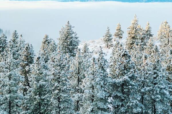 Drove up to the Echo Ridge for sunrise and the views were absolutely stunning! Itâs always fun to be above the clouds.