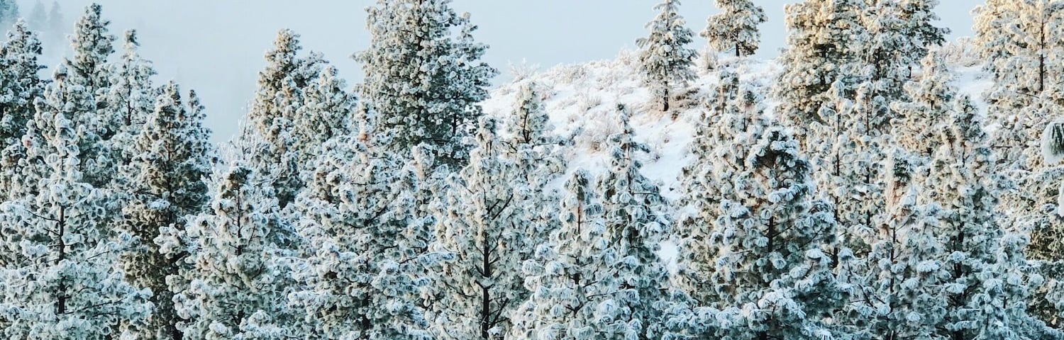 Drove up to the Echo Ridge for sunrise and the views were absolutely stunning! It’s always fun to be above the clouds.