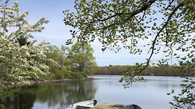 Two row boats docked on the pond at Connetquot River State Park Preserve on Mother's Day on Long Island, New York