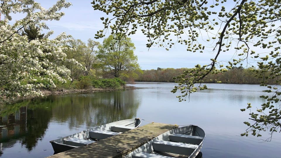 A calm lake with a wooden dock and boats, surrounded by trees with white blossoms.