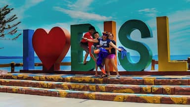 Bislig has a land area of 40,503 hectares spread over 24 barangays, with close to half is classified as “public forest”