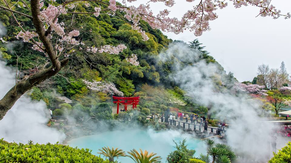A hot spring surrounded by lush greenery and cherry blossoms.