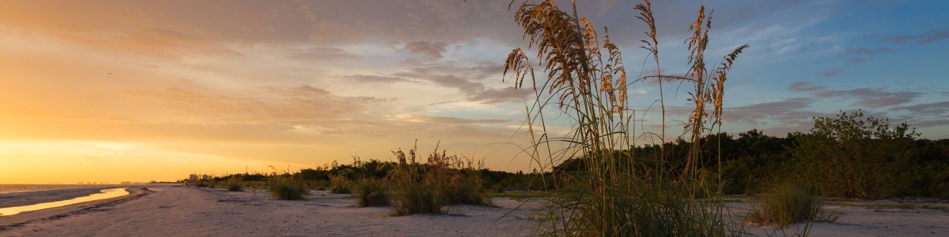 A beach with sand dunes and sparse vegetation.