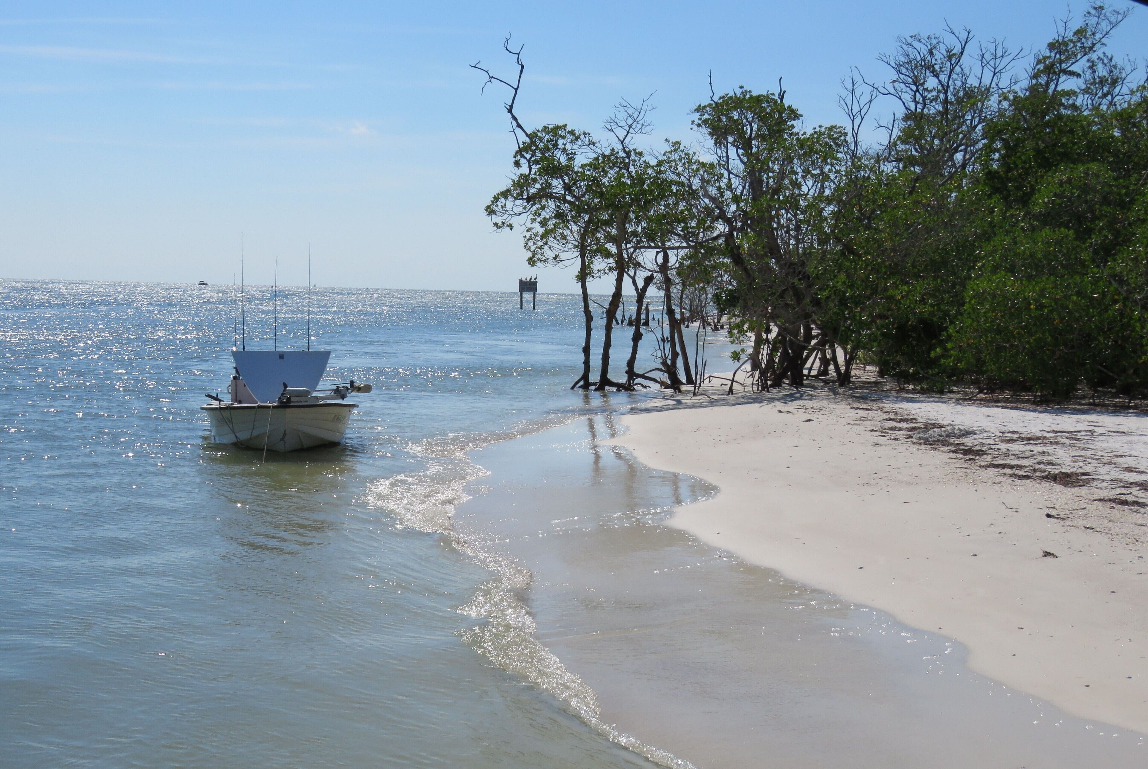 A boat on a sandy beach with trees and a clear sky.