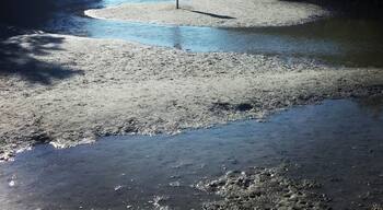 #Path to #BonitaSprings #DogBeach
🐕🌊☀🐬
Tons of #dolphins here!