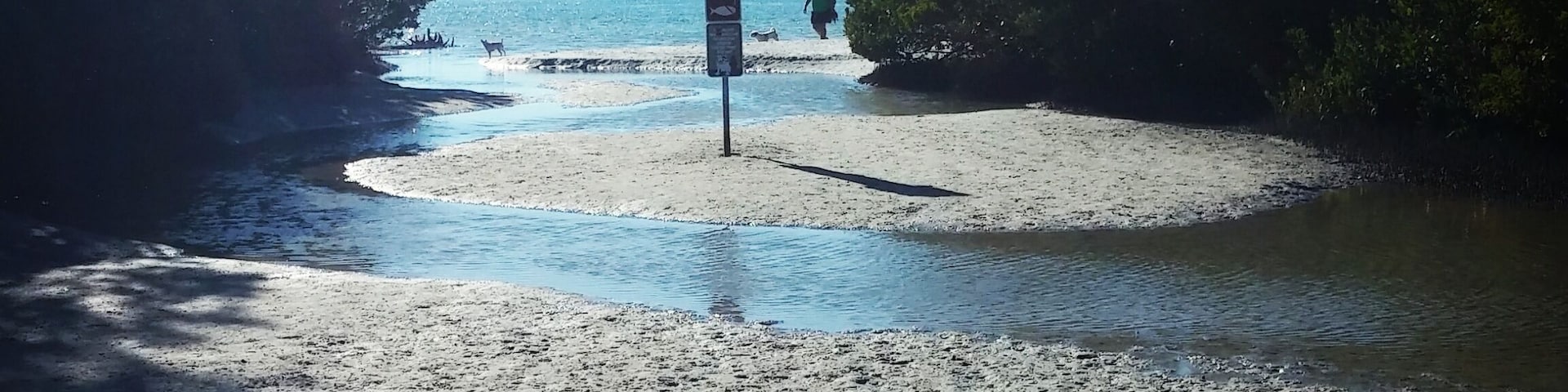 #Path to #BonitaSprings #DogBeach
🐕🌊☀🐬
Tons of #dolphins here!