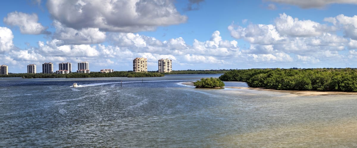 A river with a boat, a sandy beach, dense greenery, and several high-rise buildings in the background.