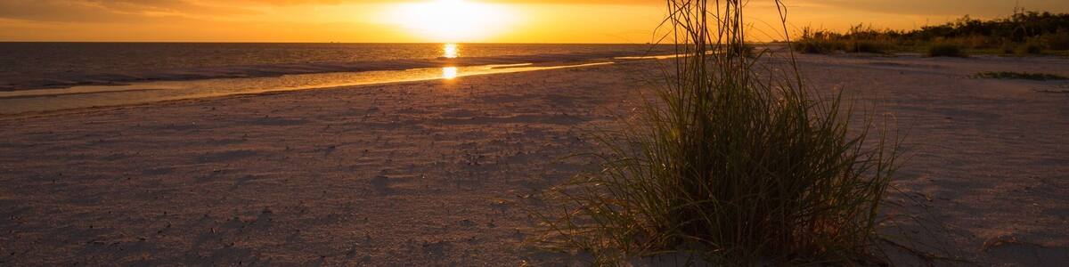 Sea oats at sunset.
#beachtips #nature