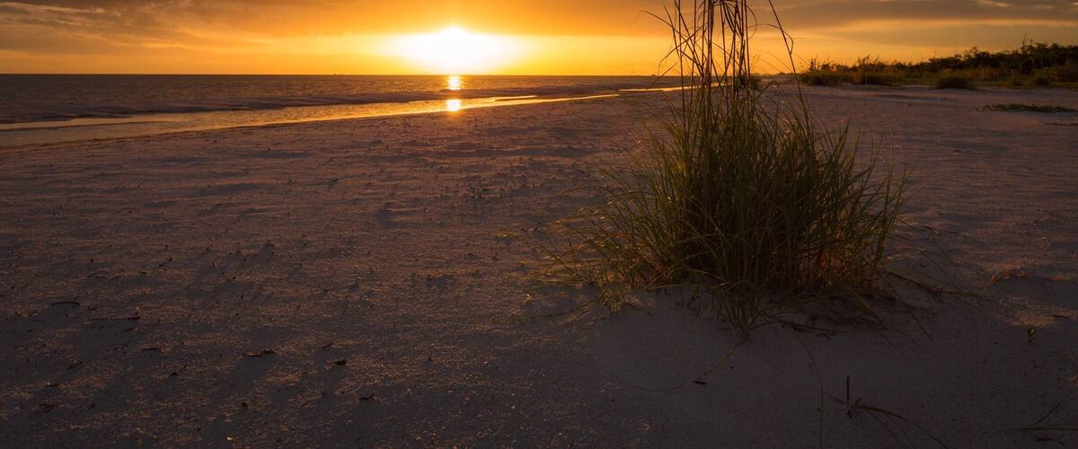 Sea oats at sunset.
#beachtips #nature