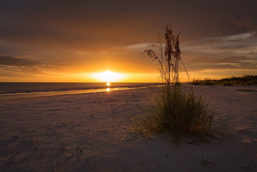 Sea oats at sunset.
#beachtips #nature