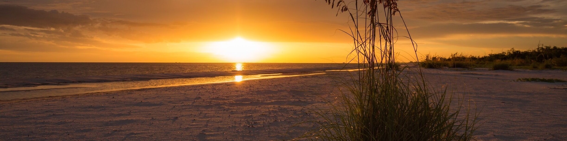 Sea oats at sunset.
#beachtips #nature