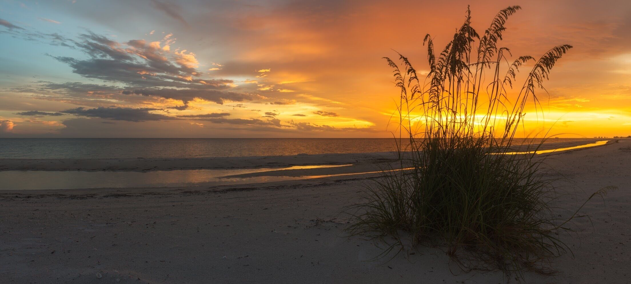 A beach at sunset with sand dunes and grasses.
