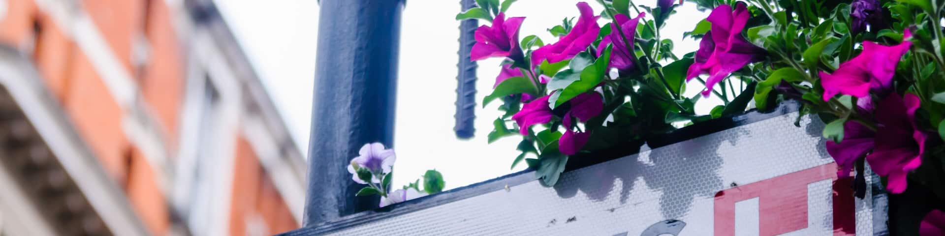 Sign for St. Mary's Hospital, London