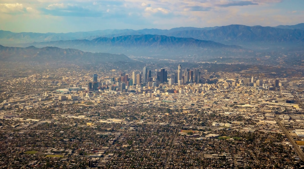 Aerial view of downtown, view from window seat in an airplane