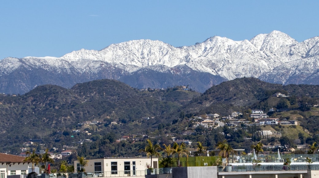 Rosemead